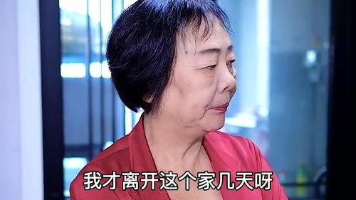 我妻子 姐姐在线观看,妻子姐姐的在线观影之旅