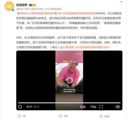 网红大姐爆料视频大全播放,揭秘网络红人幕后真相